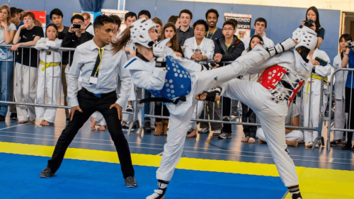 WTF-Rules-Sparring-2